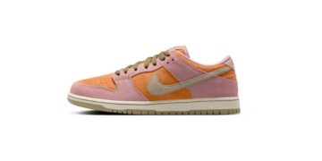 Nike Presents ‘Red Stardust’ SB Dunk Low