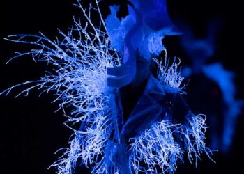 Noir Kei Ninomiya FW25 Explores Deep-Sea Fashion Fantasy