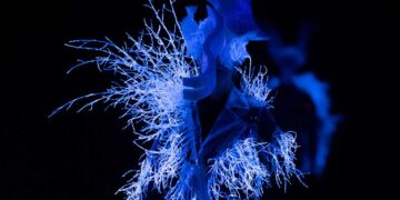 Noir Kei Ninomiya FW25 Explores Deep-Sea Fashion Fantasy