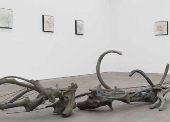 Rim Park Unveils ‘Radix’ Exploring Roots