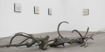 Rim Park Unveils ‘Radix’ Exploring Roots