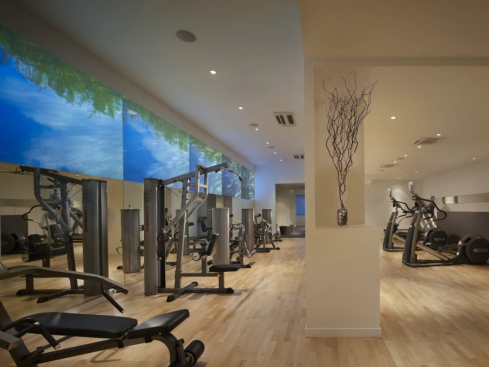 A.fitness -