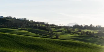 Canali Introduces Five-Year Plan for Environmental and Social Action