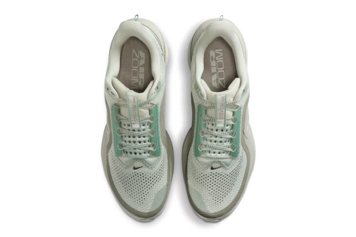 Nike Pegasus Premium