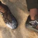 adidas and Wales Bonner Drop the Karintha and Summer Collection
