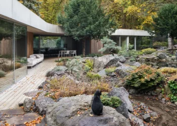 Banánka House Connects Living to the Outdoors