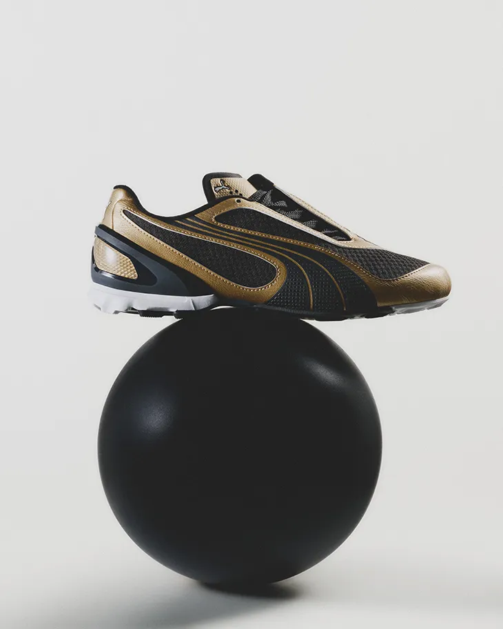 PUMA V‑S1