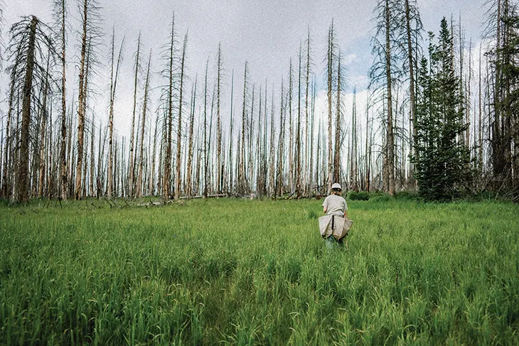 ZEGNA Brings Oasi Zegna Global Initiatives to Aspen