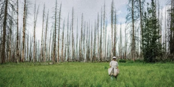 ZEGNA Brings Oasi Zegna Global Initiatives to Aspen