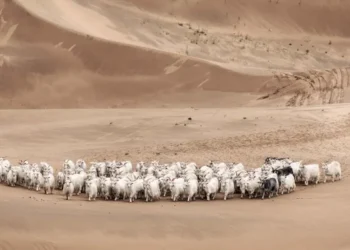 Loro Piana Faces Scrutiny Over Alleged Labour Exploitation