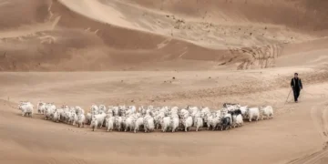 Loro Piana Faces Scrutiny Over Alleged Labour Exploitation