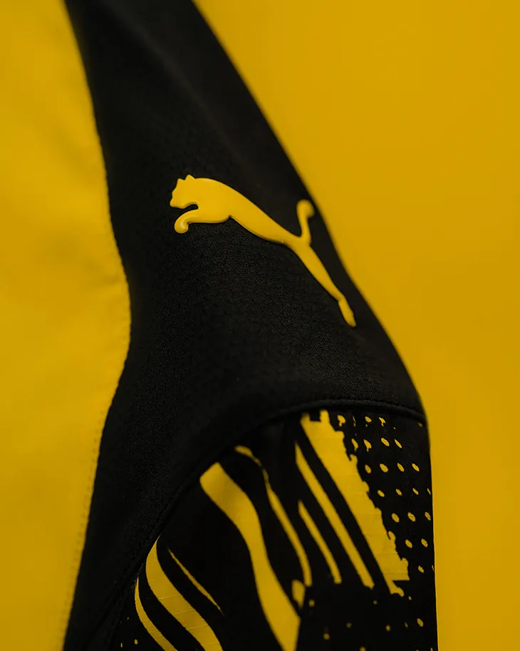 Borussia Dortmund