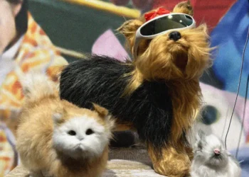 DORIC ORDER: Appetites in the Algorithm