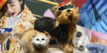 DORIC ORDER: Appetites in the Algorithm