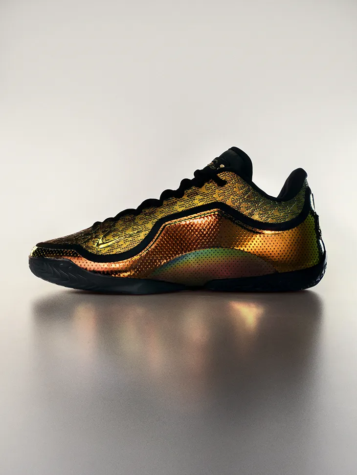 LeBron XXIII