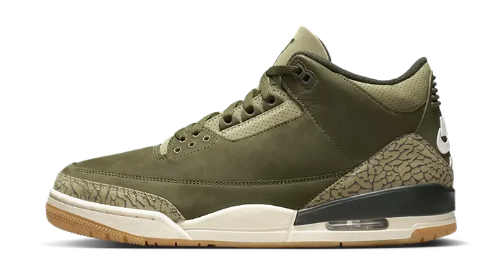 Jordan 3 Family Affair
