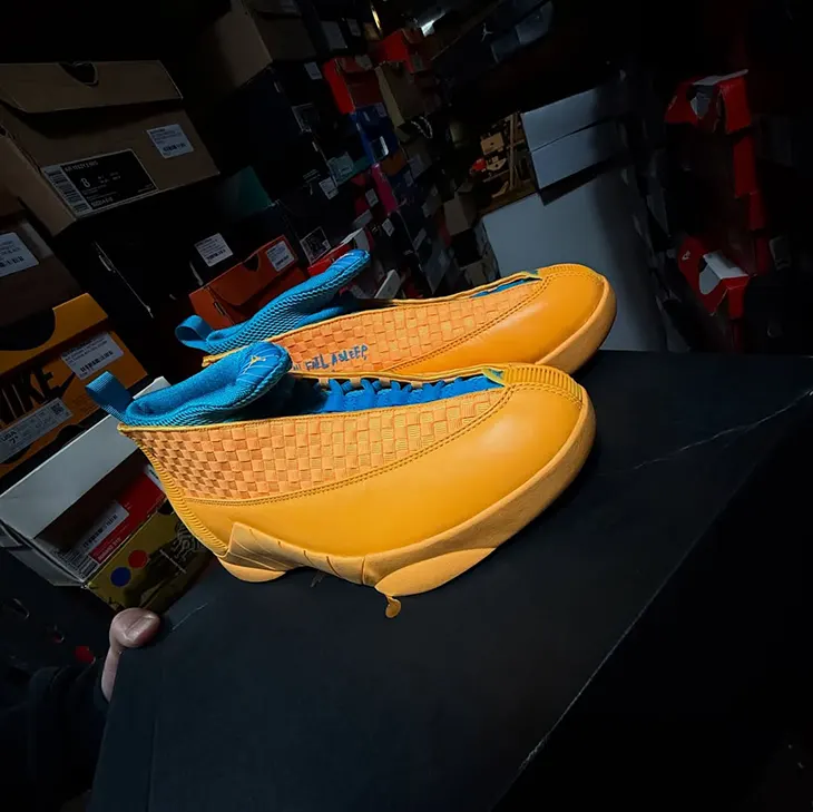 Billie Eilish x Air Jordan 15