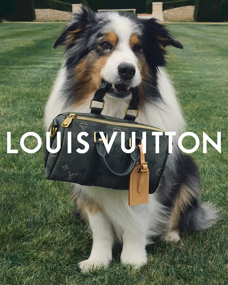 LOUIS VUITTON