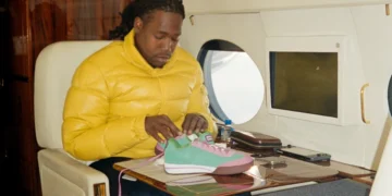 Icecream Watermelon Board Flip