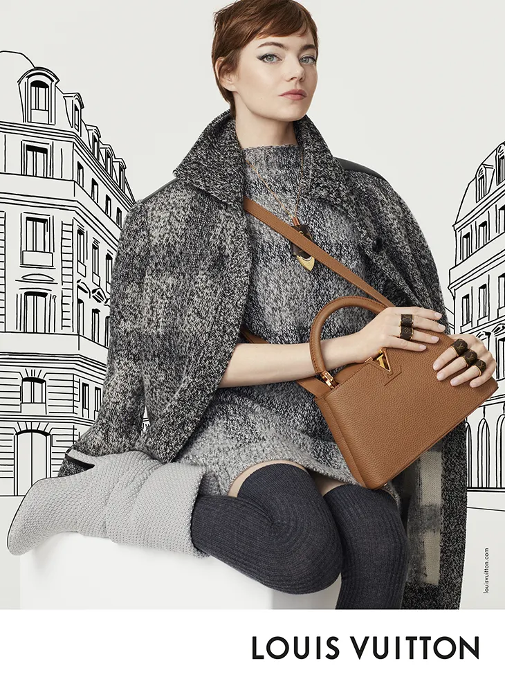 Louis Vuitton Leather Goods