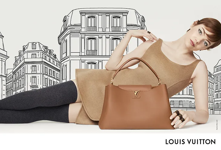Louis Vuitton Leather Goods