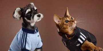 adidas Pet Collection Introduces Streetwear Pieces for Fall