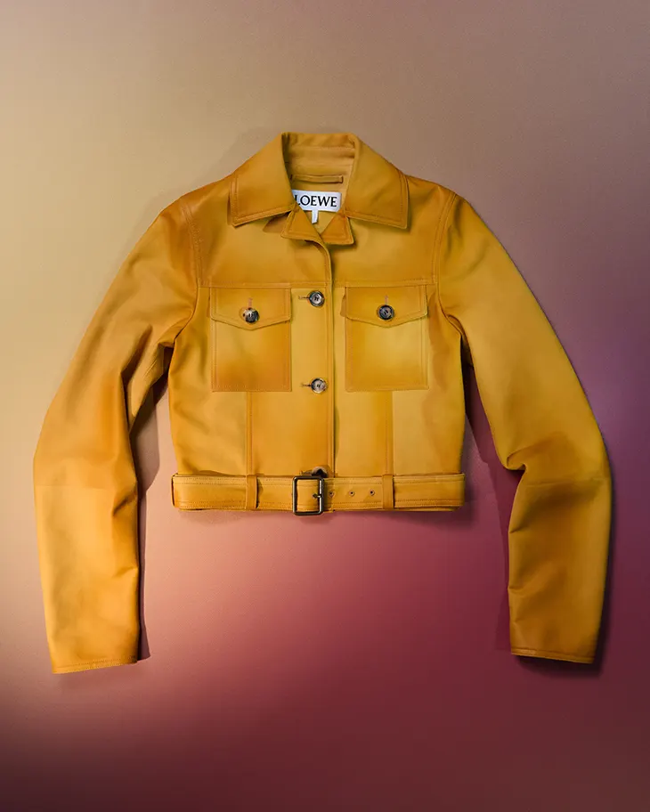 LOEWE Spring Summer 2026 Precollection