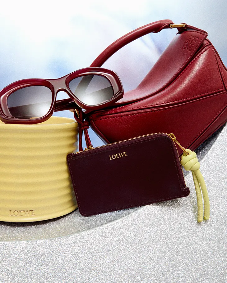 LOEWE Spring Summer 2026 Precollection