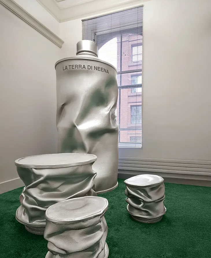 La Terra di Neena Installation in New York