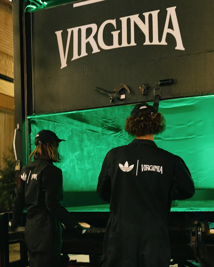 VIRGINIA Adistar Jellyfish