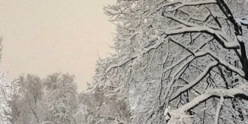 DORIC ORDER: The Things Women Leave Behind