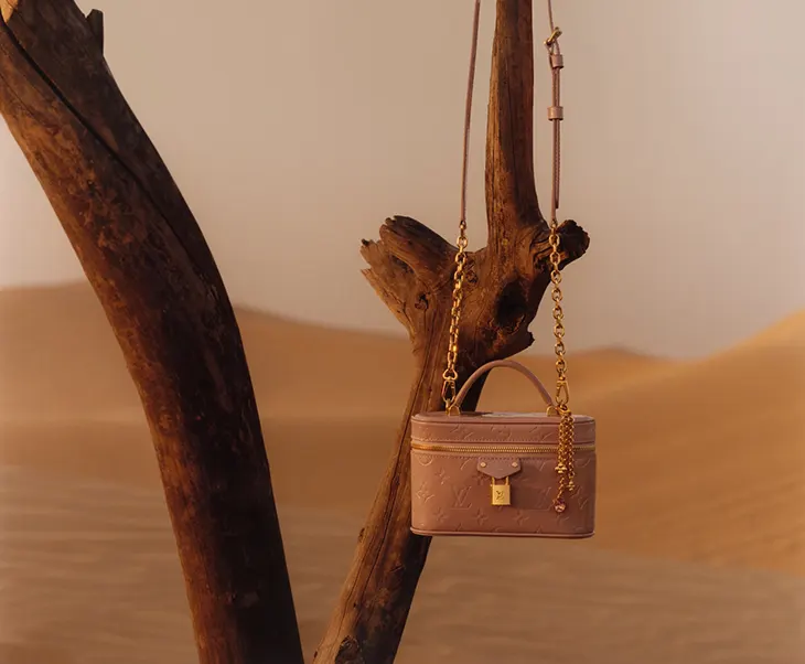 Louis Vuitton LV Mirage