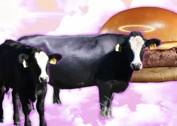 MSCHF Gives Buyers Last Chance to Save Angus the Cow