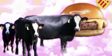 MSCHF Gives Buyers Last Chance to Save Angus the Cow