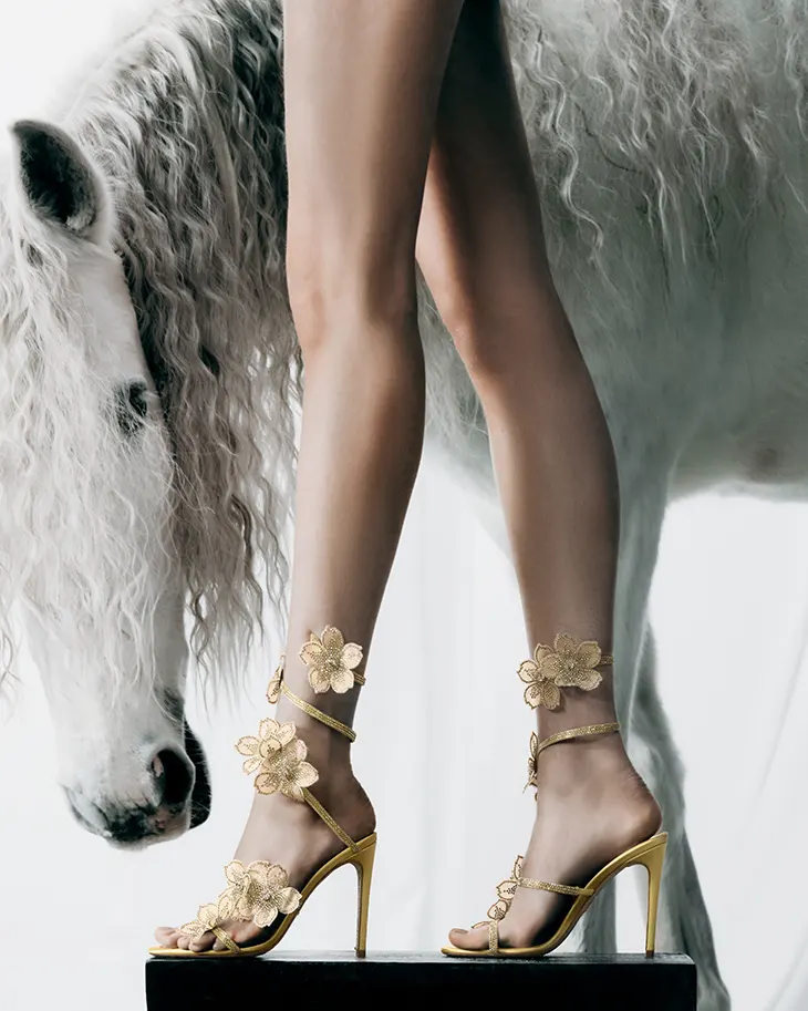 Rene Caovilla "Riding the Light" Year of the Horse