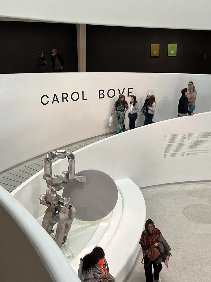 Carol Bove