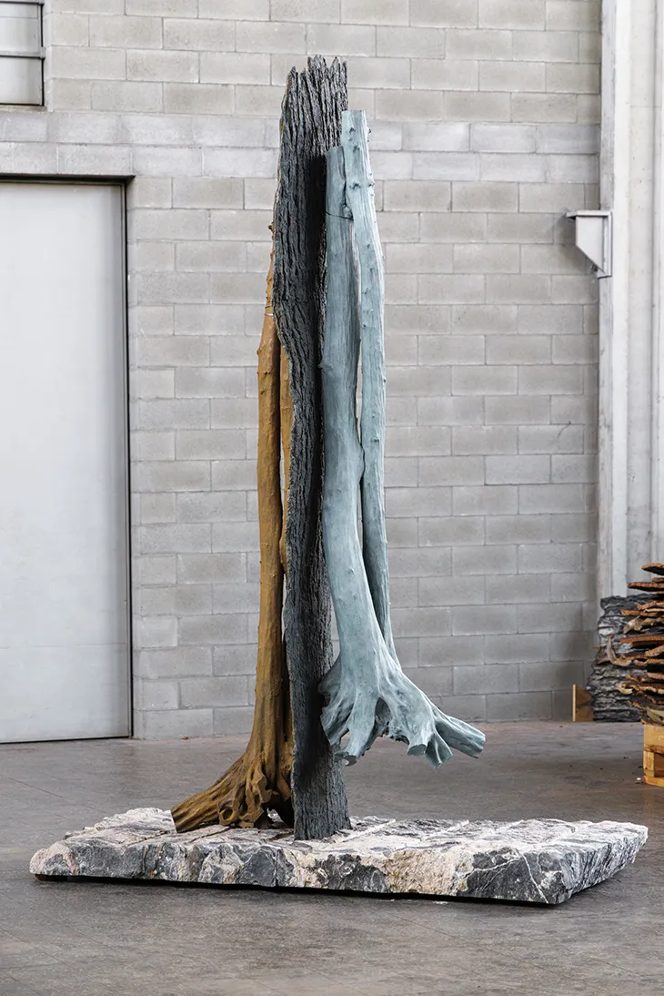 Giuseppe Penone
