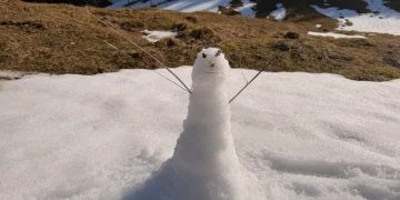 DORIC ORDER: Scale and Insignificance