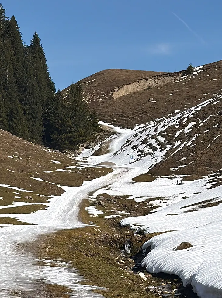 Scale and Insignificance