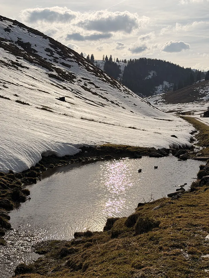 Scale and Insignificance