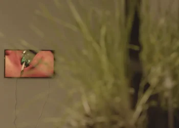 Sustained International Recognition in the Work of Zoe Ze Zhou