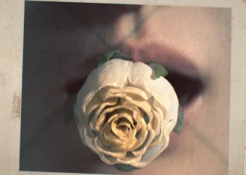 Casey Gu Is Redefining Motion Design as Narrative Infrastructure