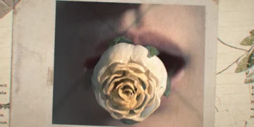 Casey Gu Is Redefining Motion Design as Narrative Infrastructure