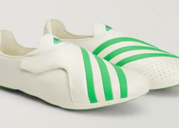 Virginia Flat Earther