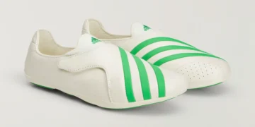 Virginia Flat Earther