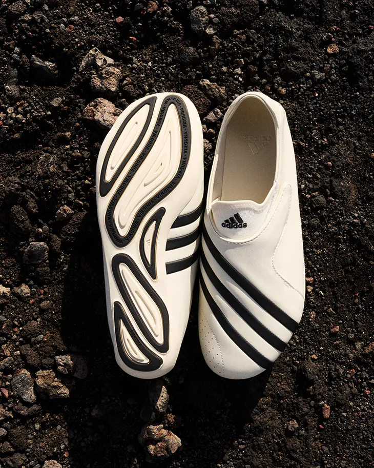 Virginia Flat Earther