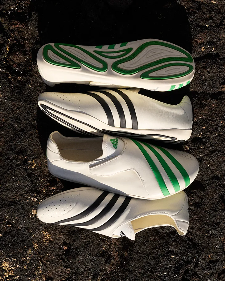 Virginia Flat Earther