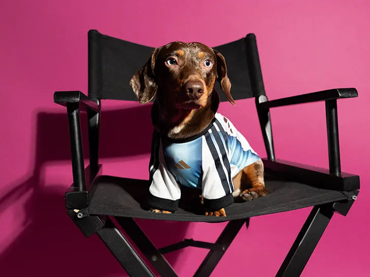adidas FIFA World Cup 2026 Pets
