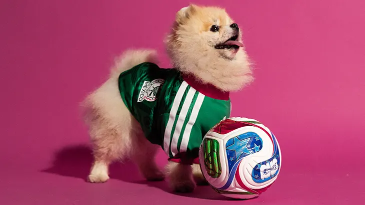 adidas FIFA World Cup 2026 Pets