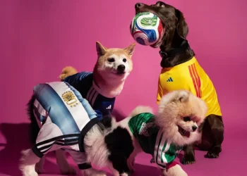adidas Reworks FIFA World Cup 2026 Jerseys for Pets
